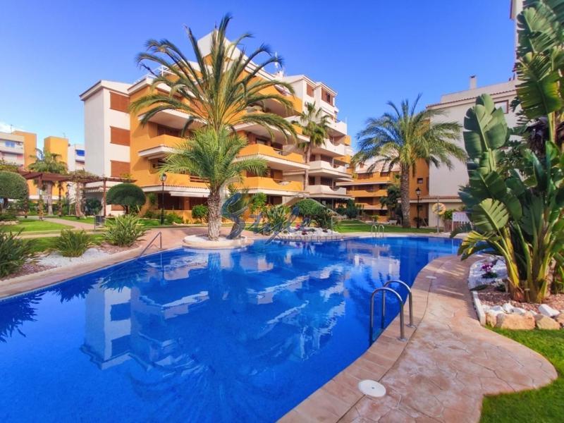 Punta Prima Nice Apartment With Sea Views トレビエハ エクステリア 写真