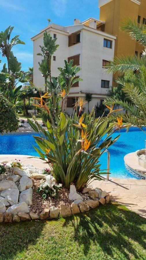 Punta Prima Nice Apartment With Sea Views トレビエハ エクステリア 写真